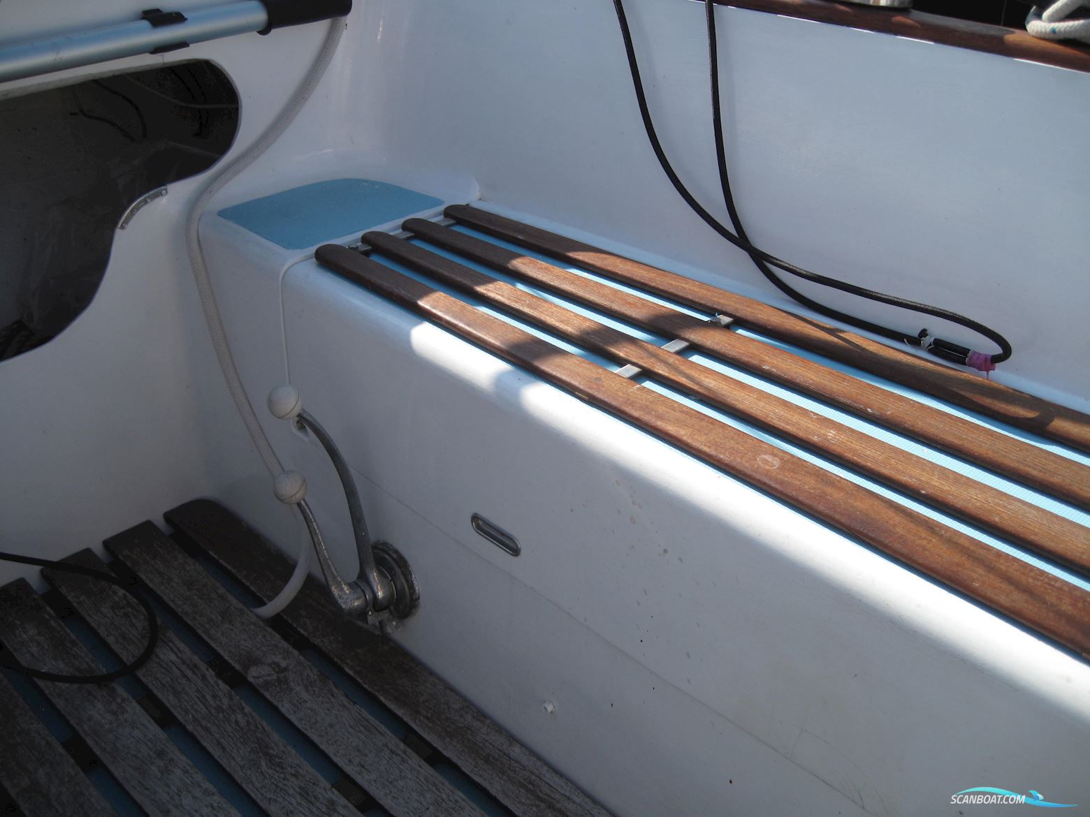 Rustler 31