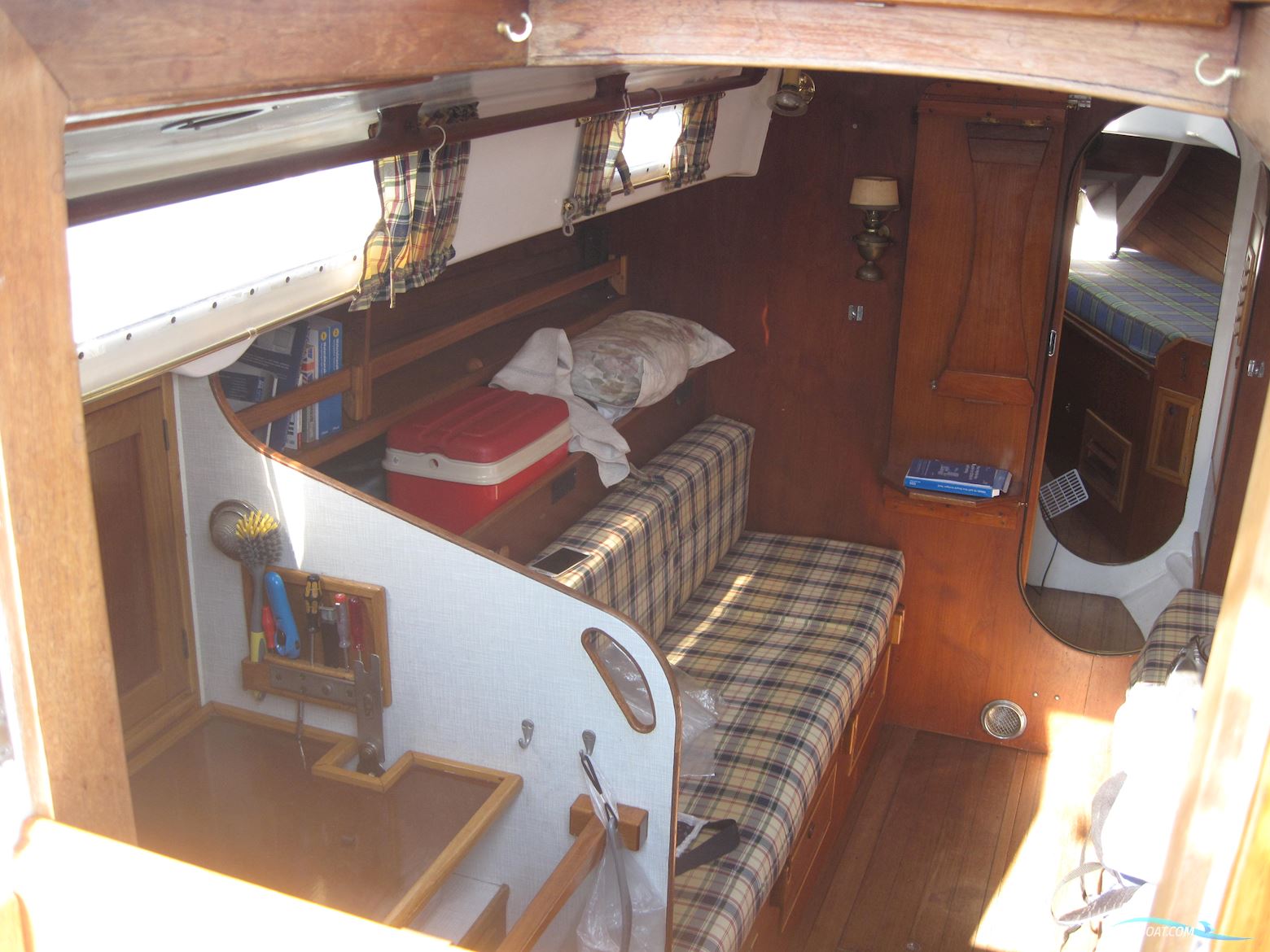 Rustler 31
