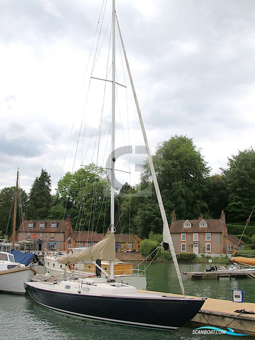 Rustler 33