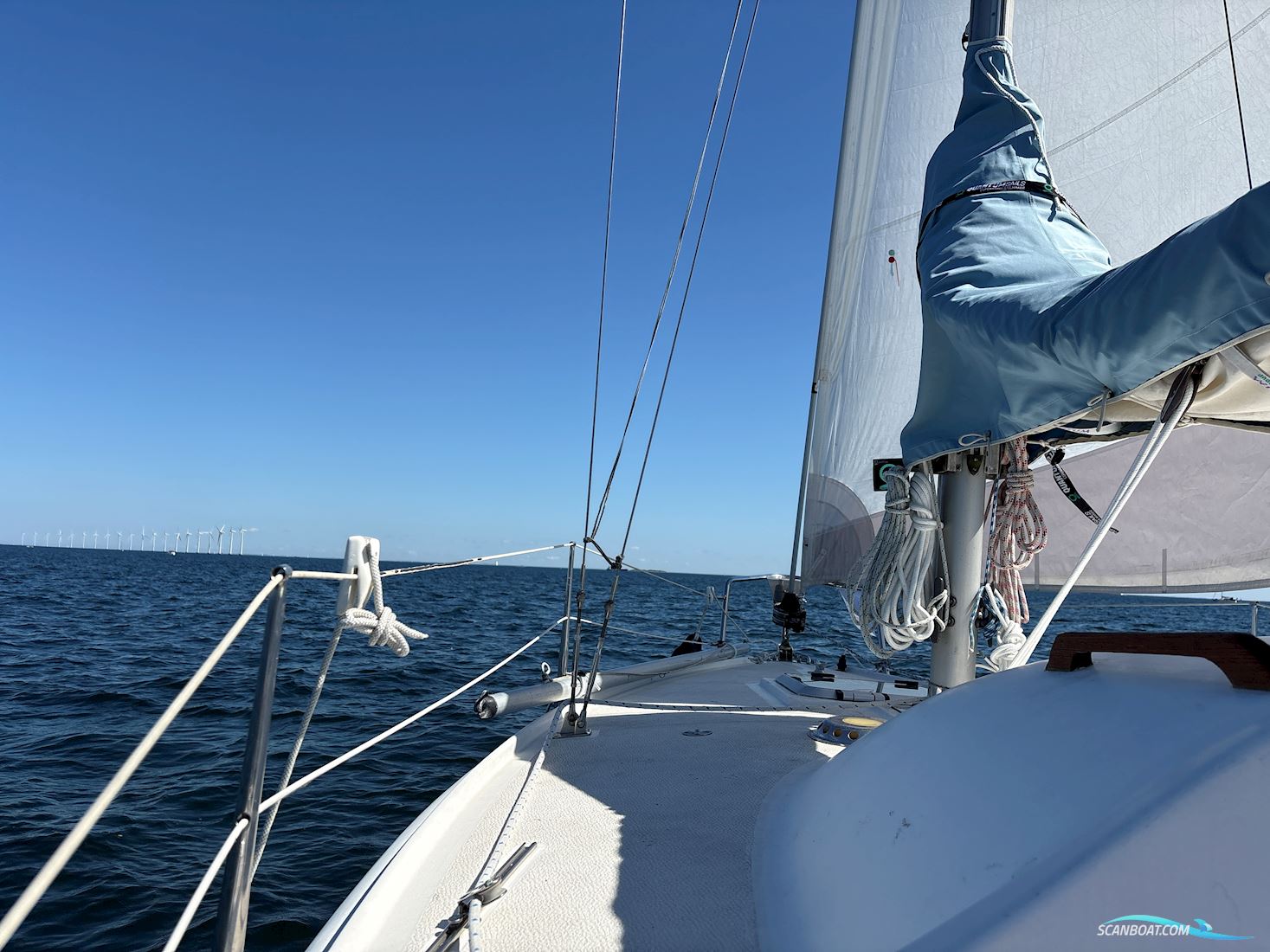 Sagitta 20