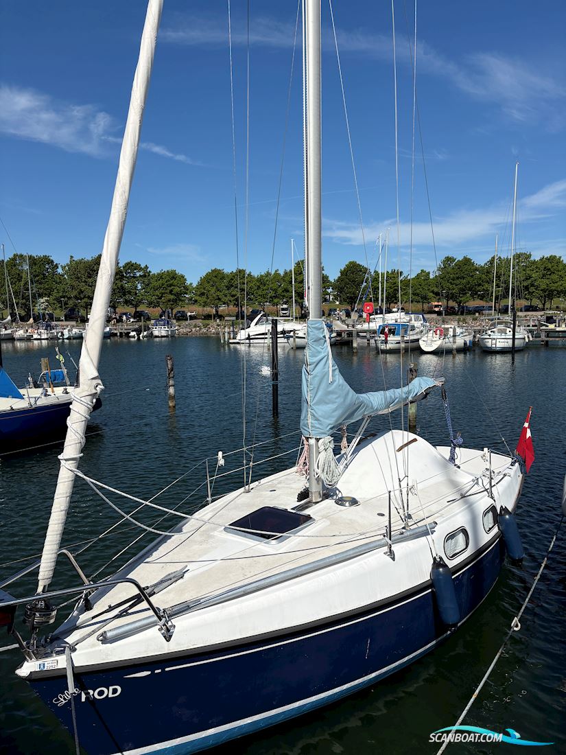 Sagitta 20