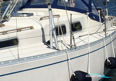 Sagitta 35 Sailingboat 1976, with Volvo Penta. Ferskvandskølet. engine, Denmark