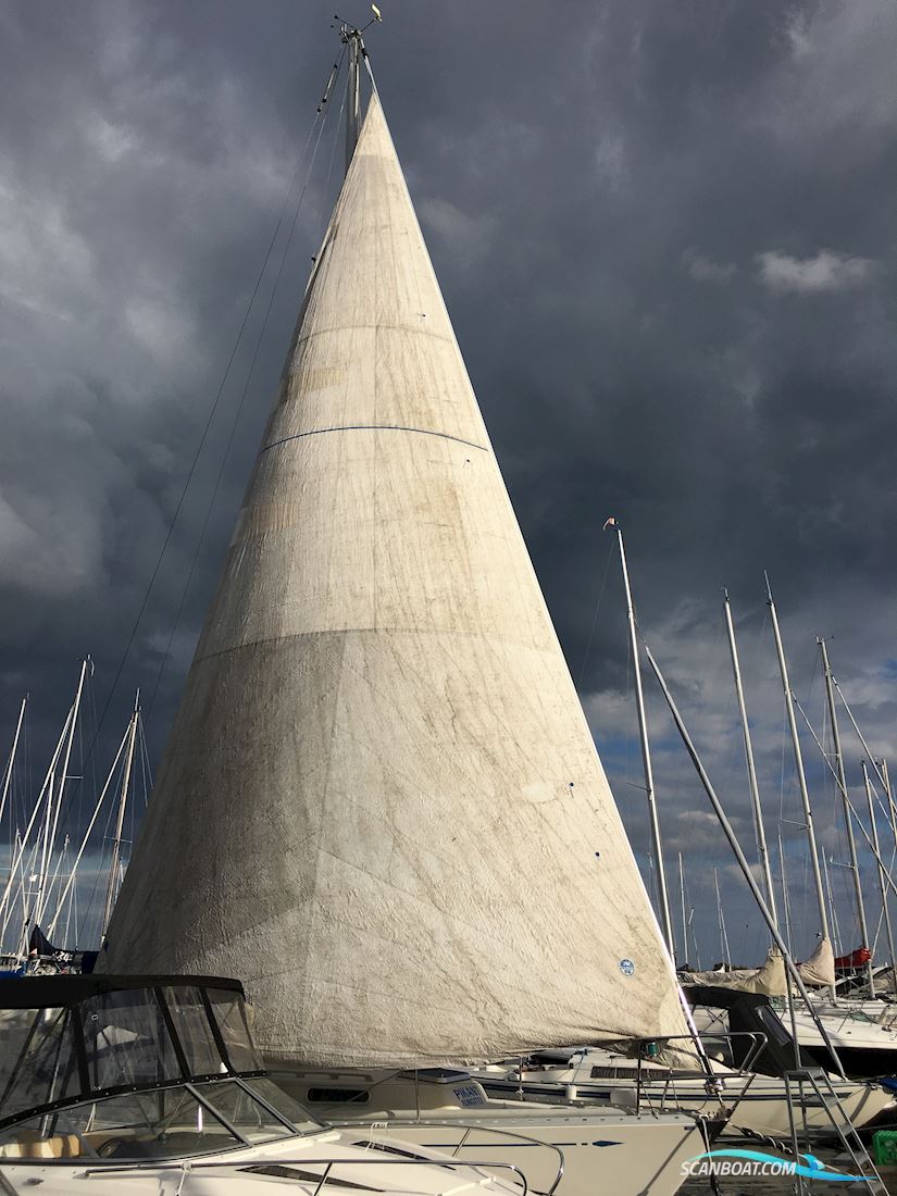 Sagitta 35