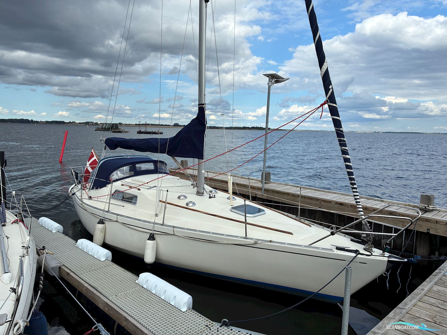 Scampi 30