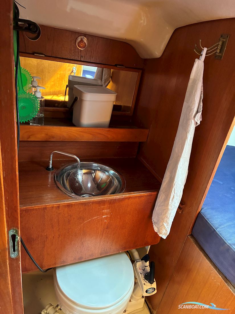 Scampi 30