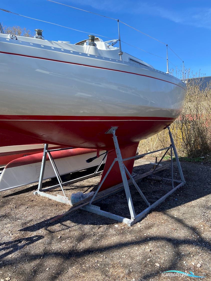 Scampi 30 Sejlbåd med havneplads (Efterårspris)