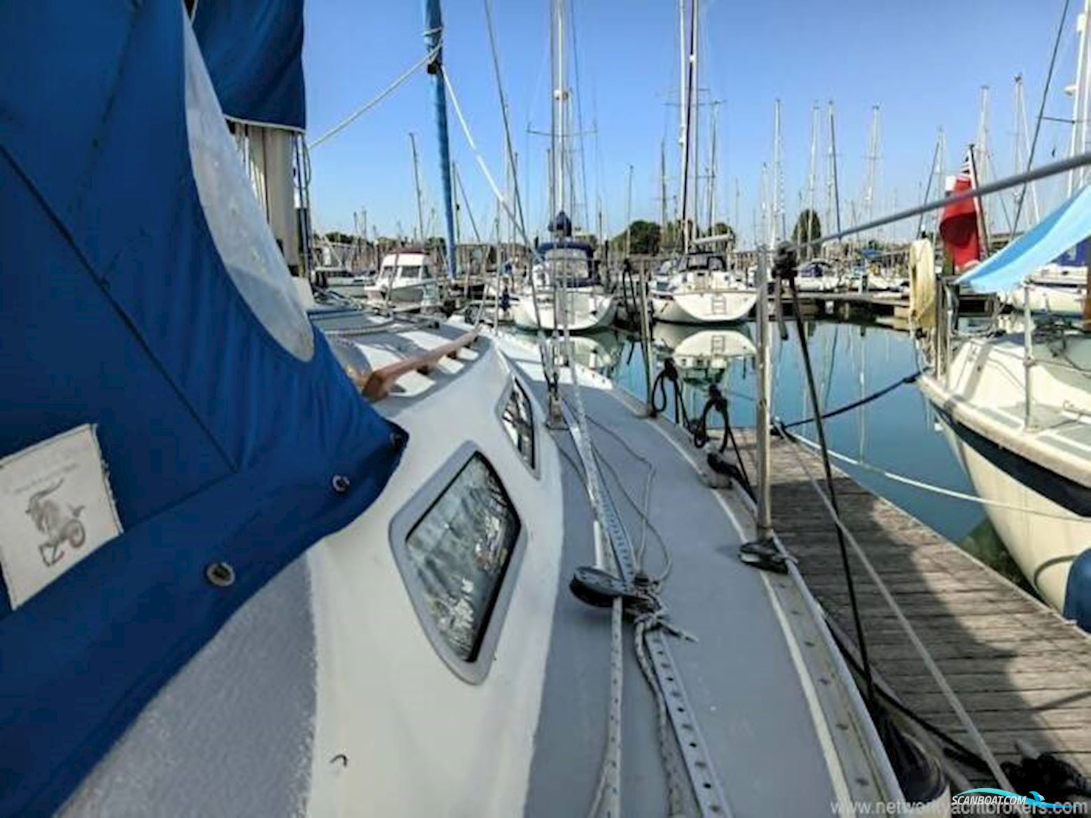 Scanmar 33