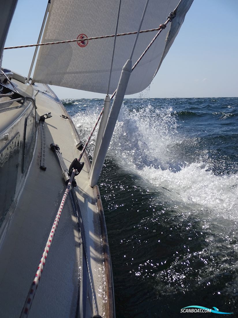 Schärenkreuzer Lotus 40