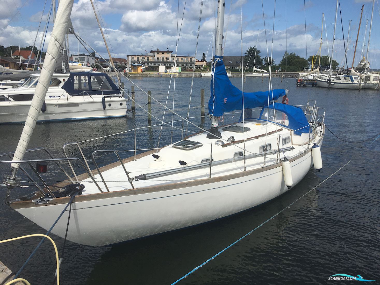 Schelinkryssare