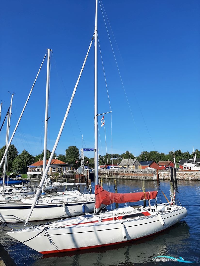 Senorita Helmsman - Solgt