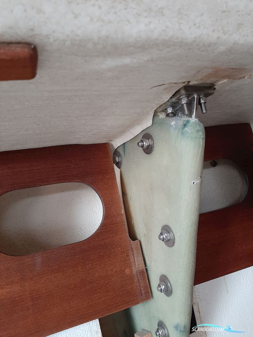 Senorita Helmsman - Solgt