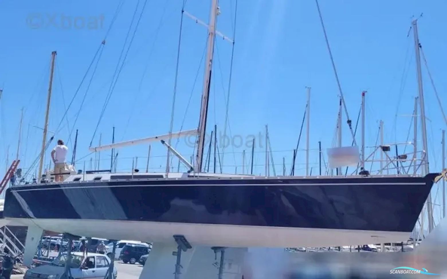 Shark 50