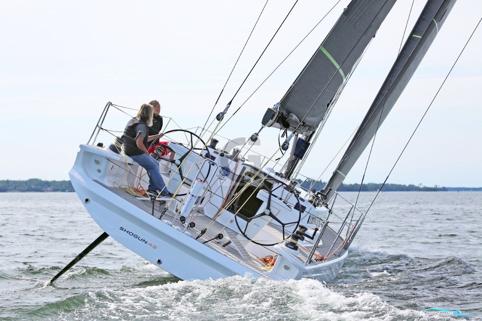 Shogun Yachts 43