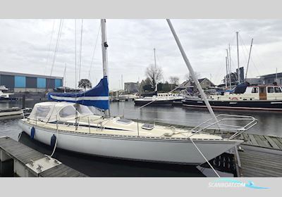 Sirena 38 Sailingboat 1984, with Bukh engine, The Netherlands