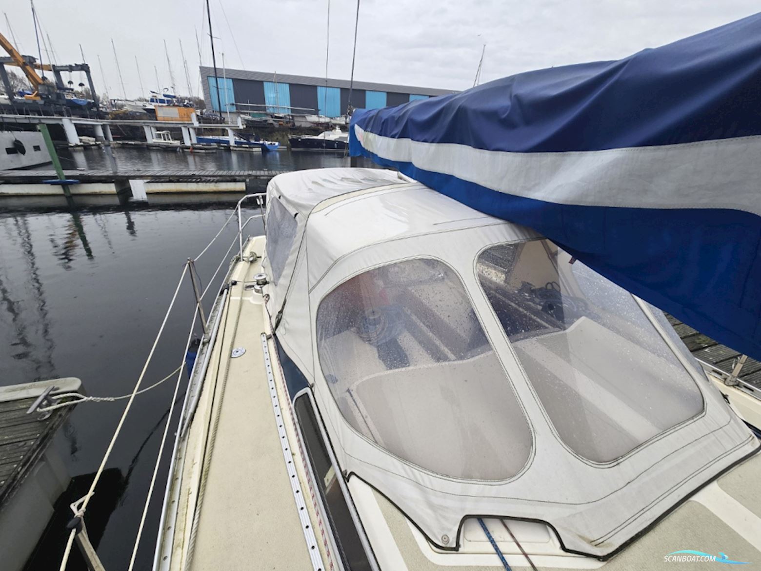 Sirena 38