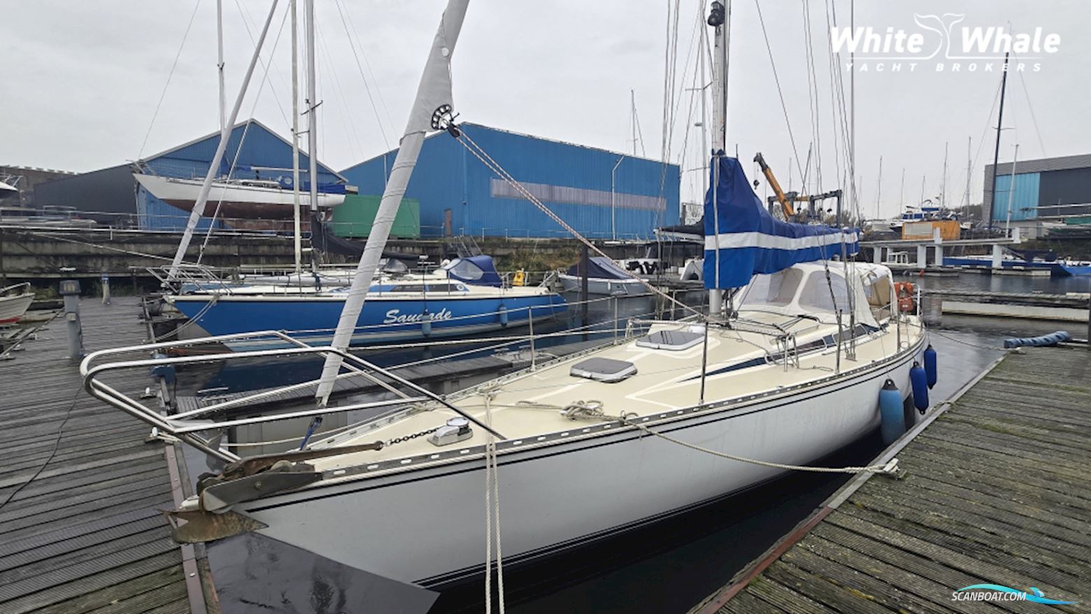 Sirena 38