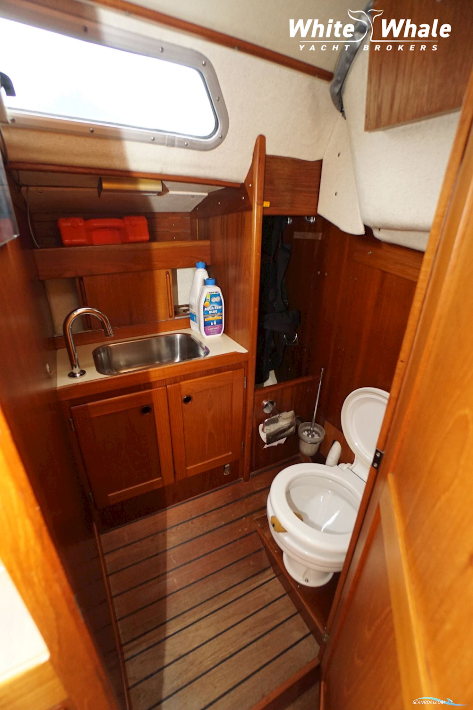 Sirena 38
