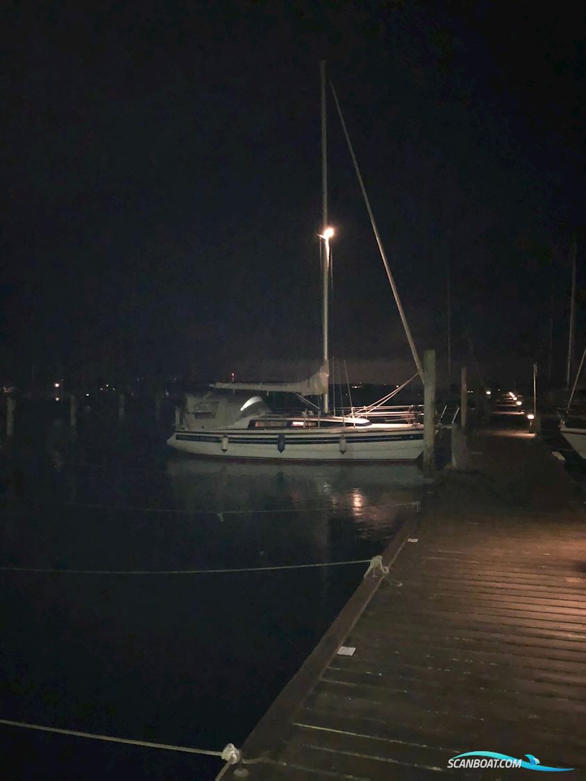 Sirius 31