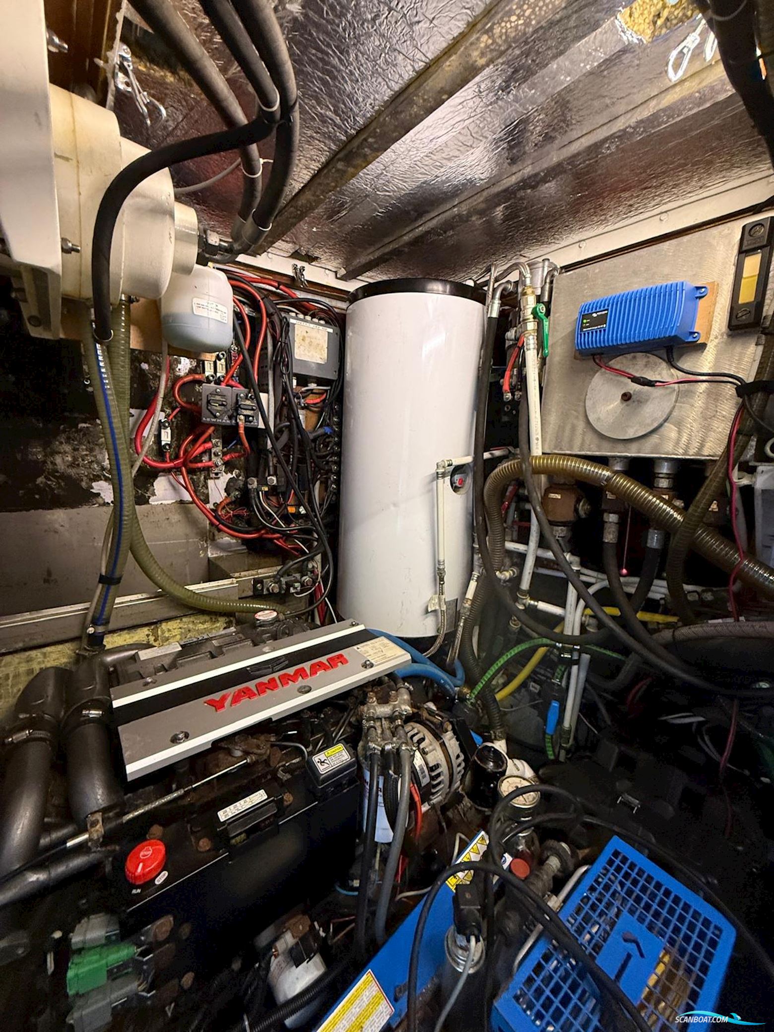 Sommerfeld Langfahrtyacht Kalb 55