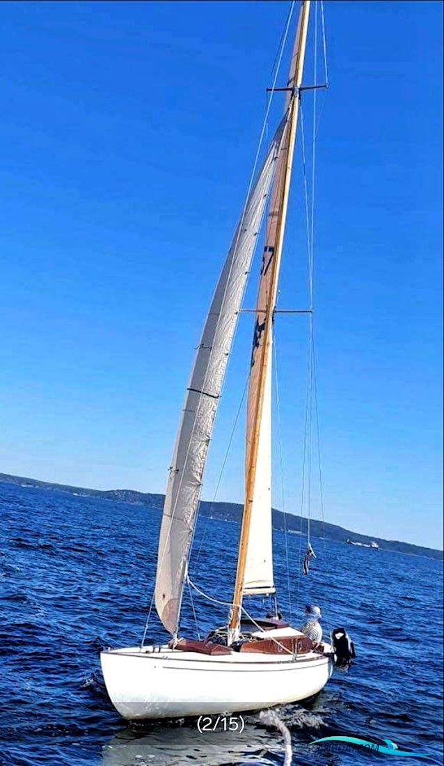 Spissgatter