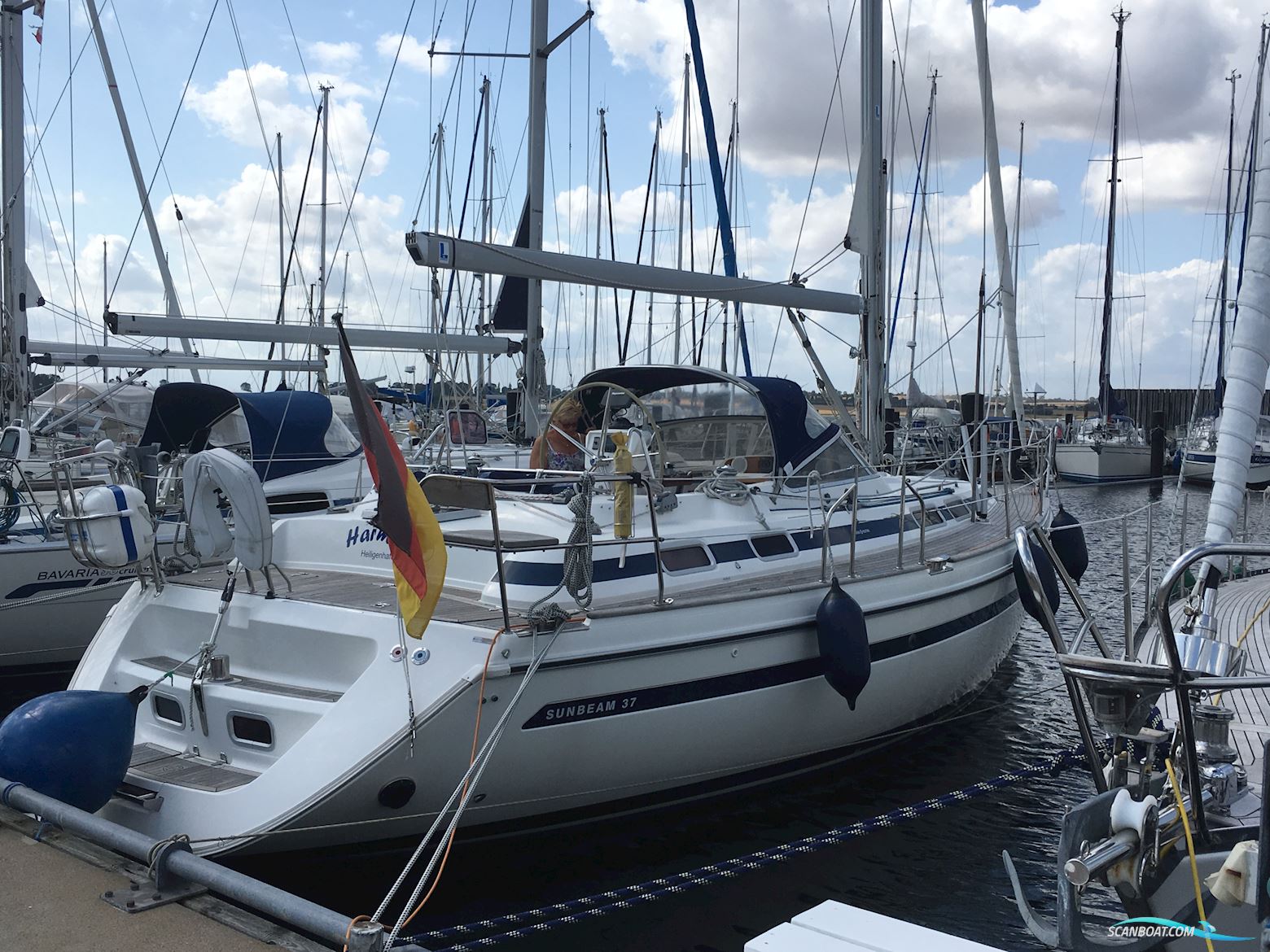 Sunbeam 37