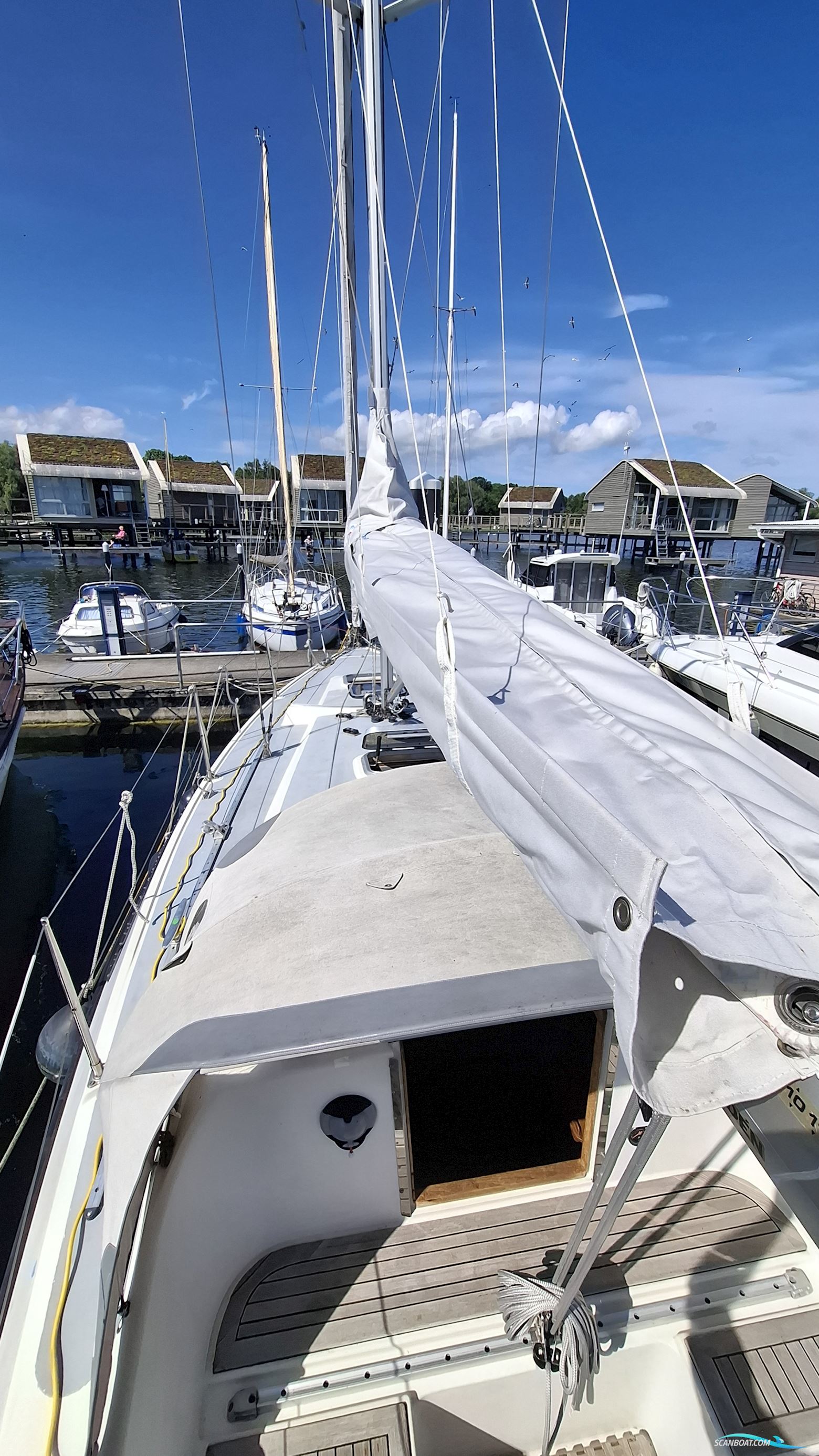 Sunwind 29