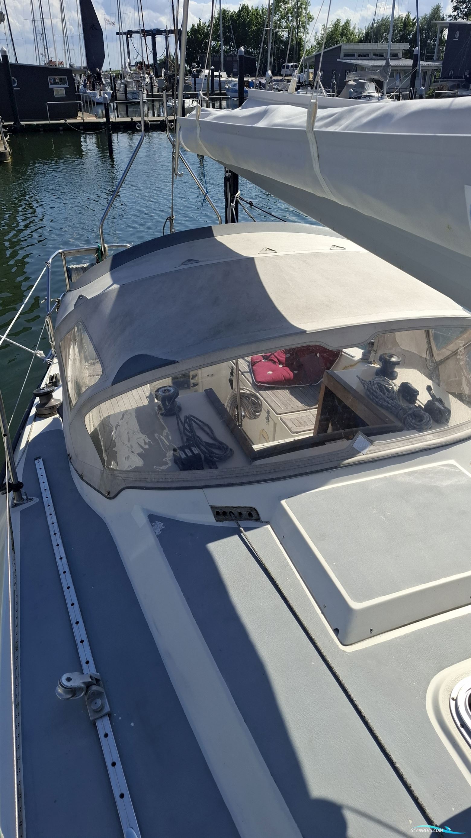 Sunwind 29