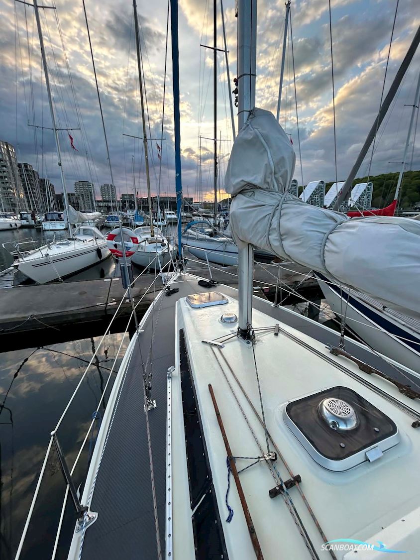 Sunwind 31