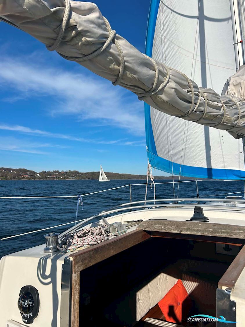 Sunwind 31