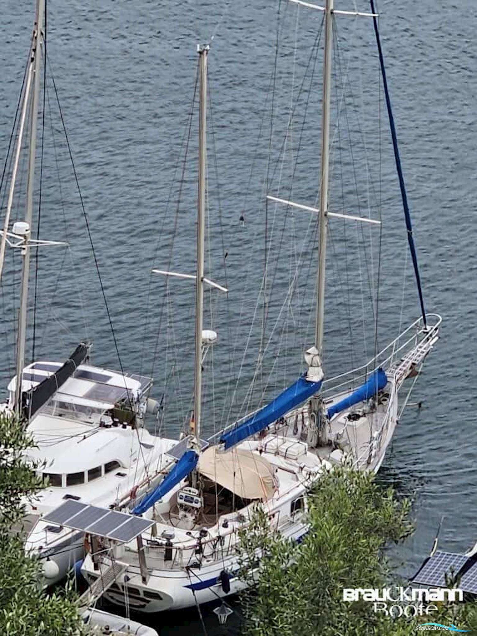 Ta Chiao (TAIWAN) Ta Chiao (TAIWAN) CT 56