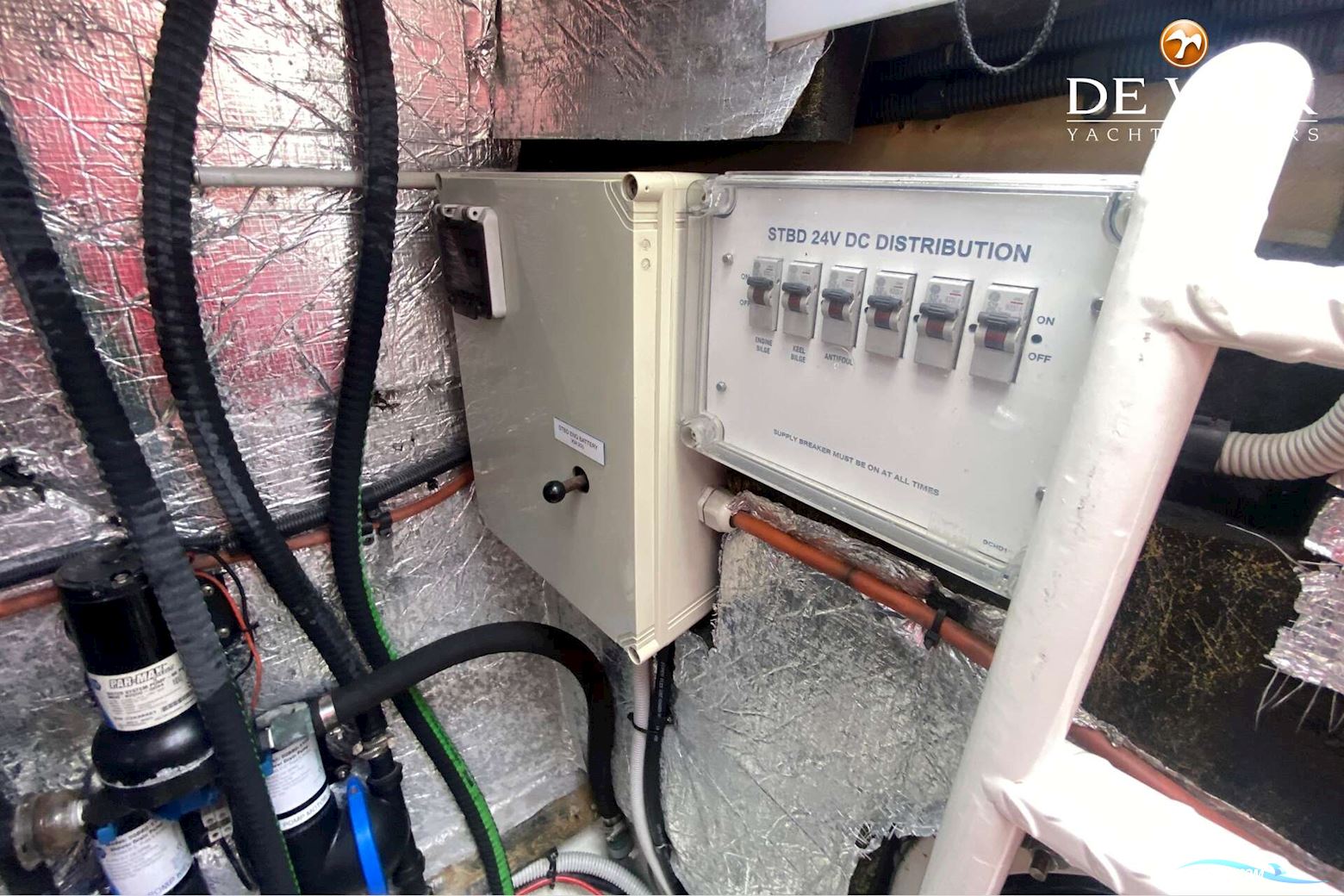 Taylor Davidsen TD547