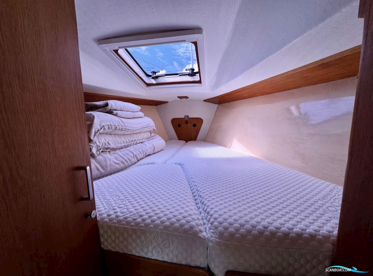 Teliga 30 Royale