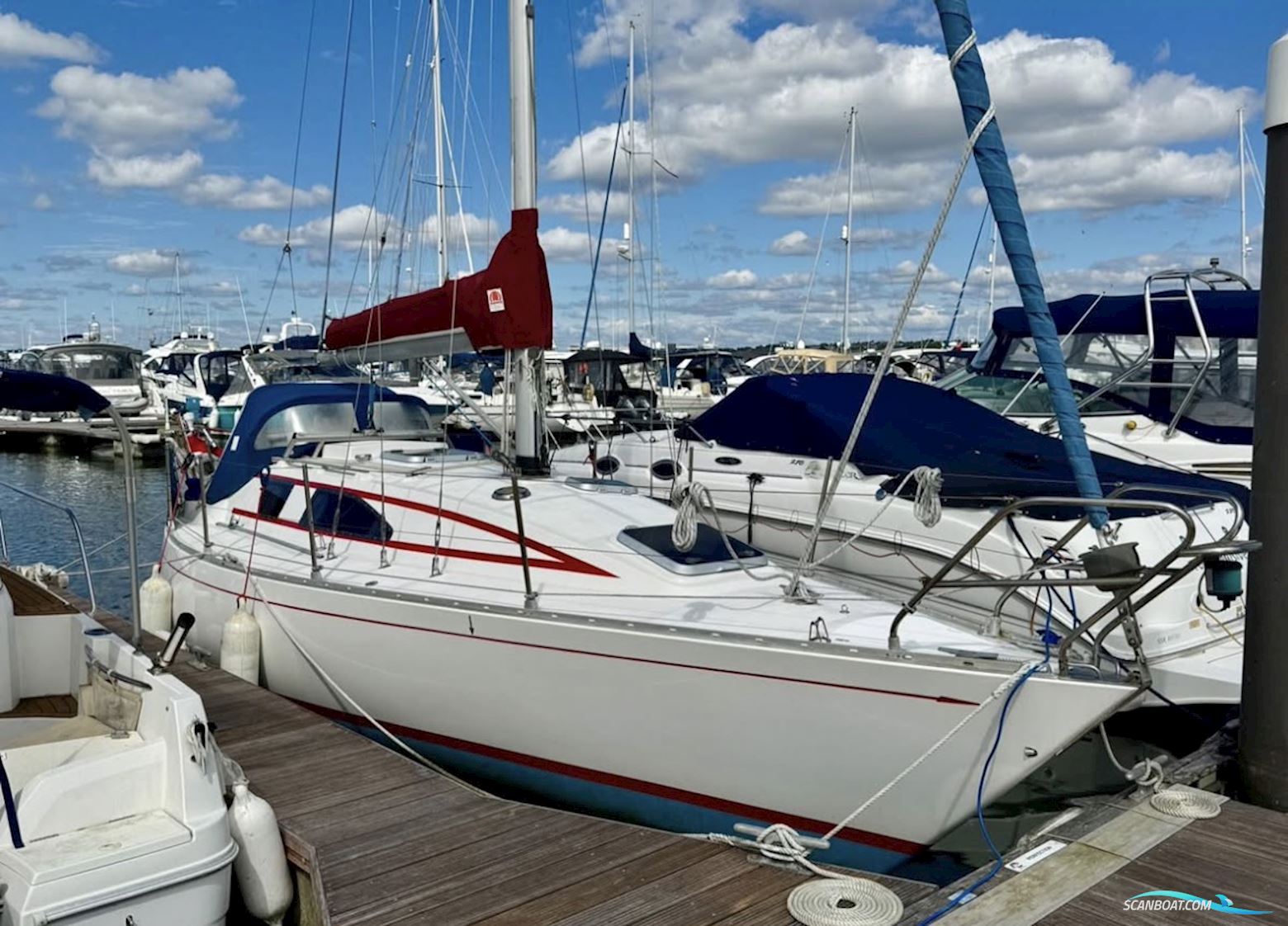 Teliga 30 Royale