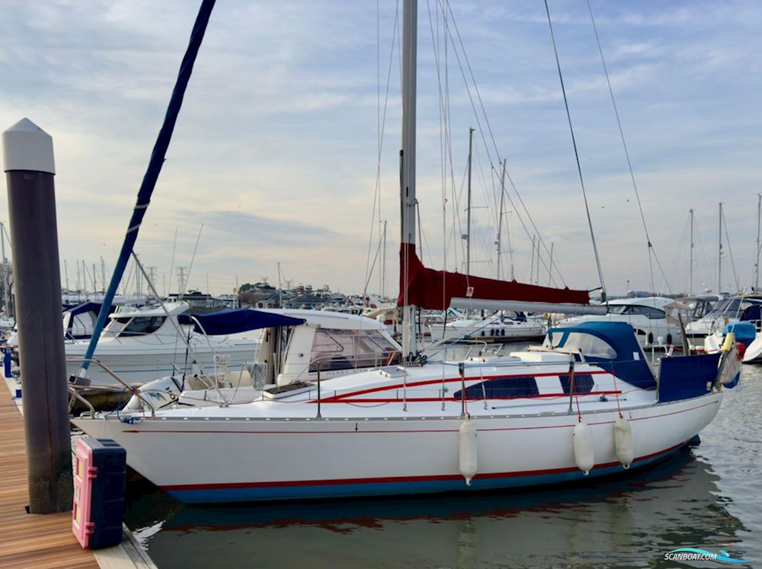 Teliga 30 Royale