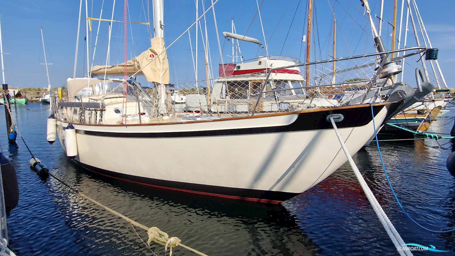 Tradewind 39