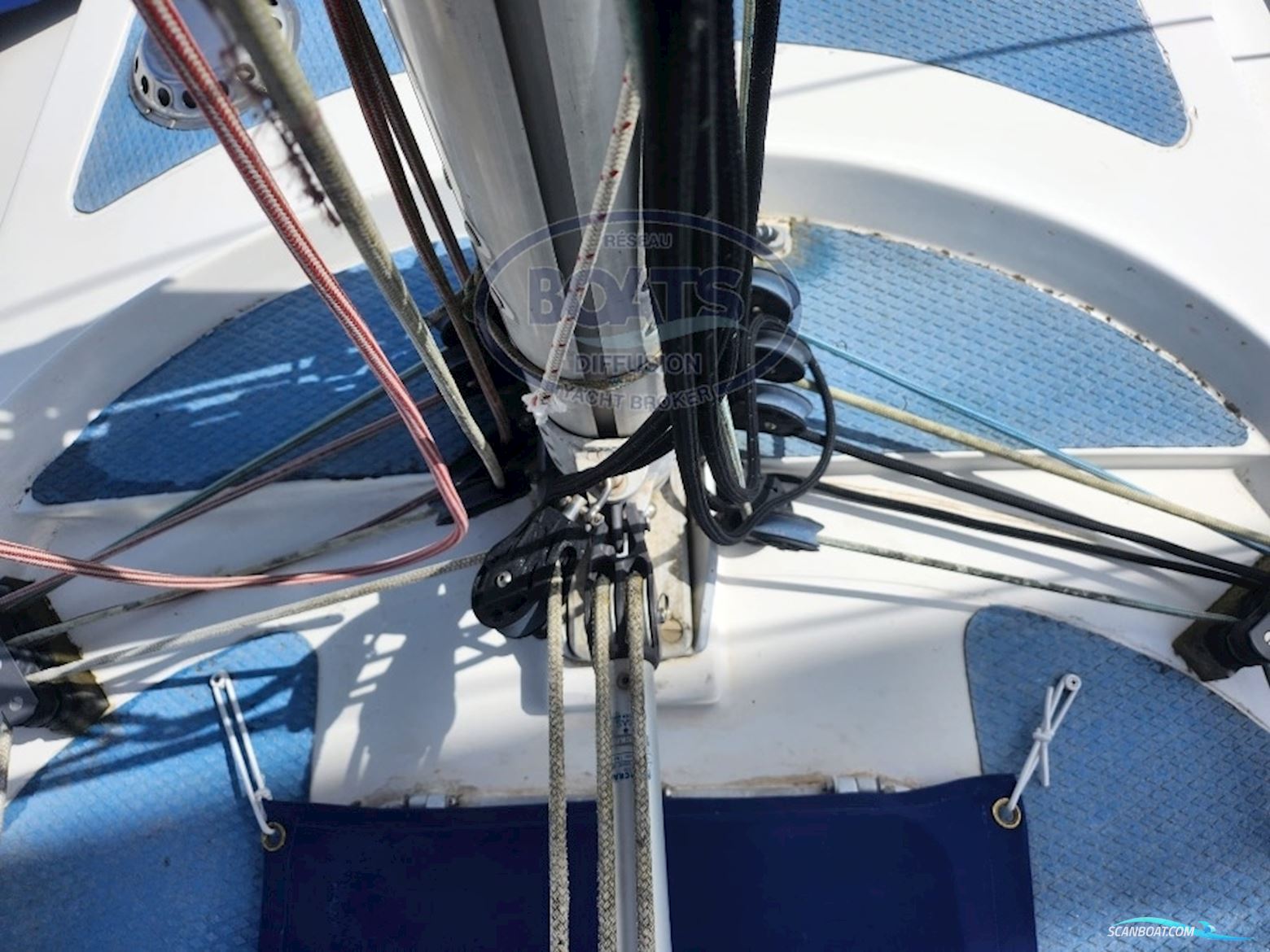 TRIDENT MARINE WARRIOR 35