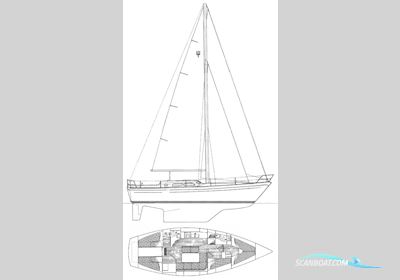 Trident Marine Warrior 38 Sailingboat 1985, The Netherlands