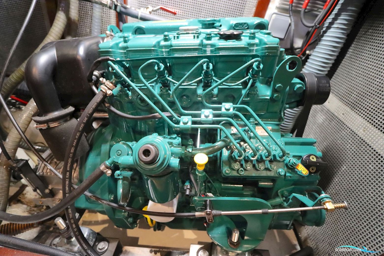 Trintella 38