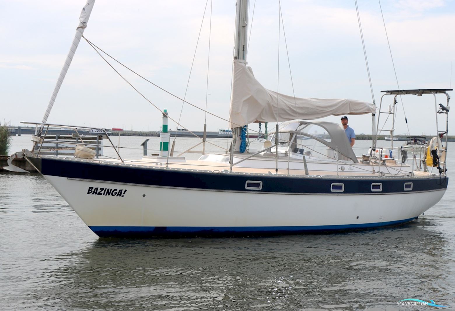 Trintella 38