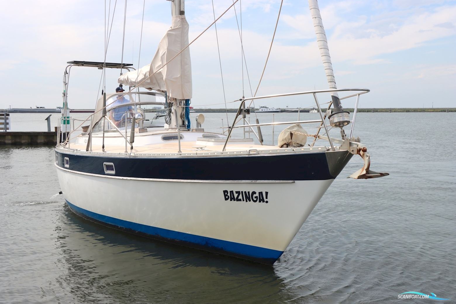 Trintella 38