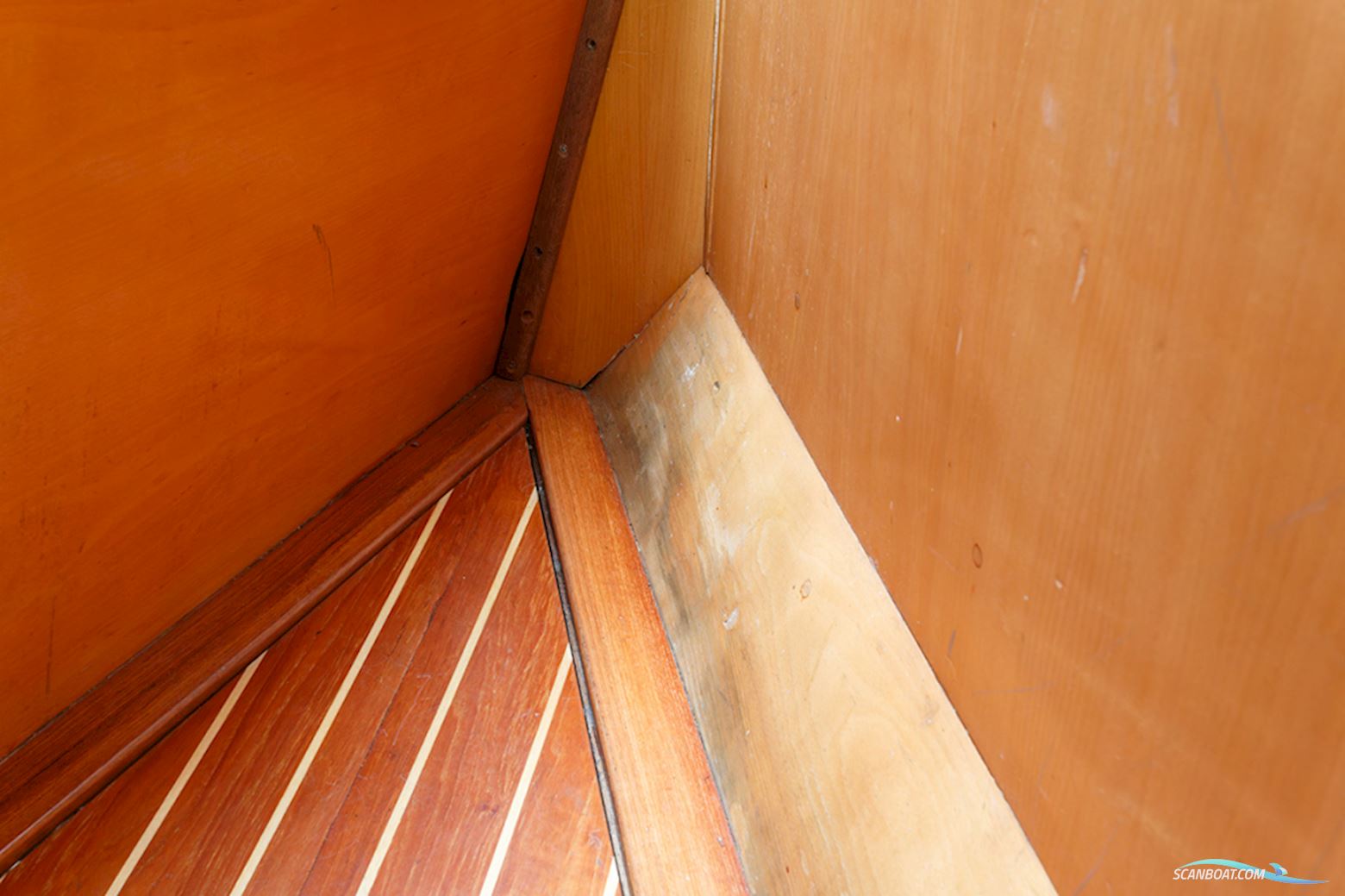 van de Stadt 36 Zeehond