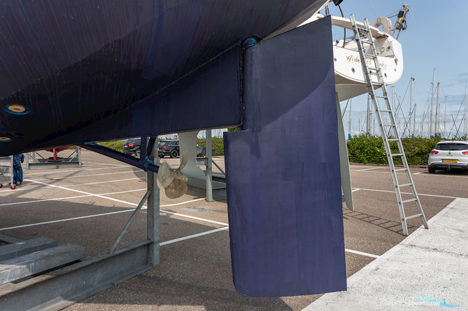 Van de Stadt 36 Zeehond