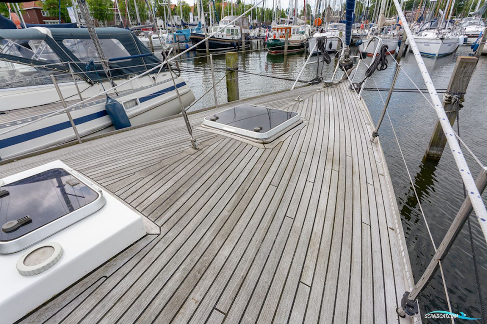 Van de Stadt 36 Zeehond