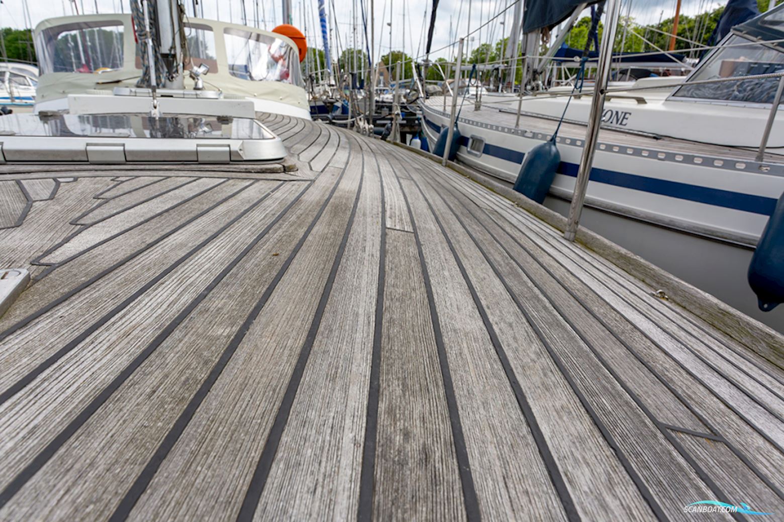 Van de Stadt 36 Zeehond