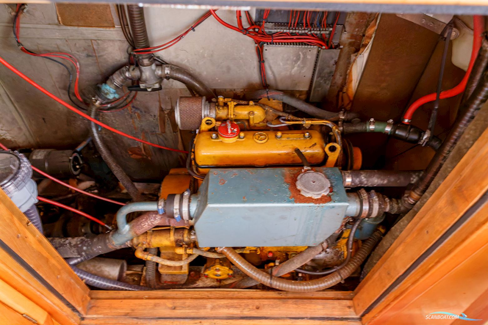 Van de Stadt 36 Zeehond