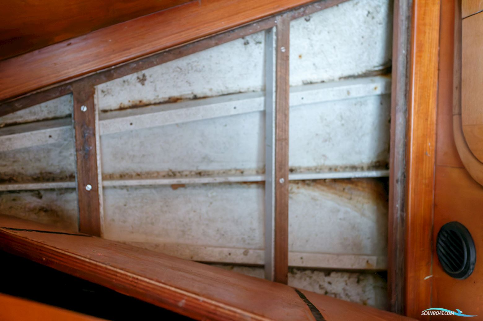 Van de Stadt 36 Zeehond