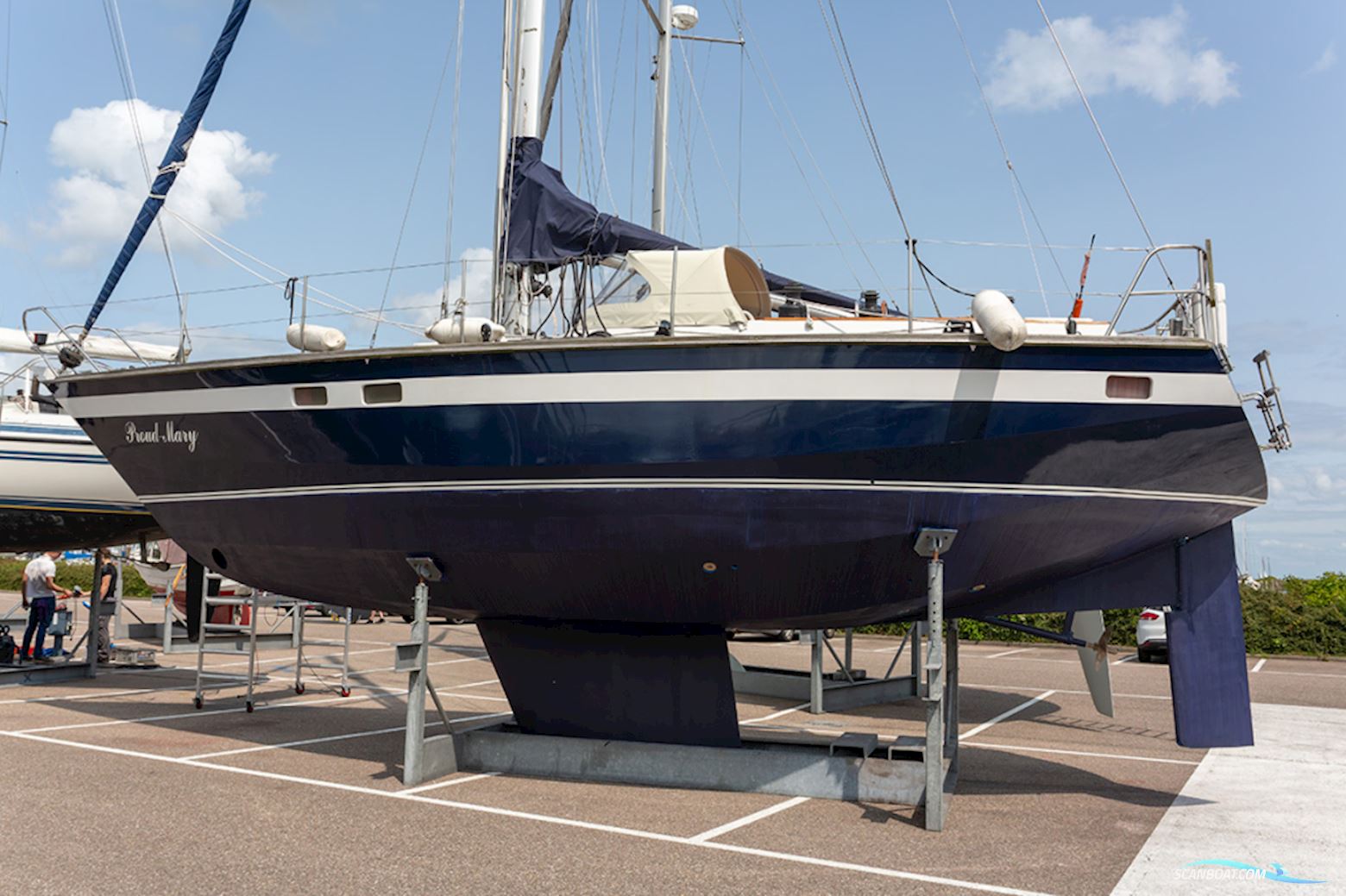 Van de Stadt 36 Zeehond