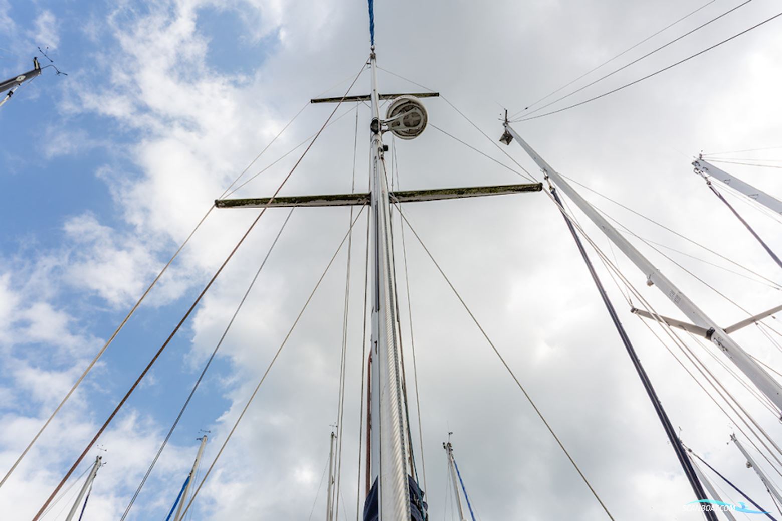 Van de Stadt 36 Zeehond