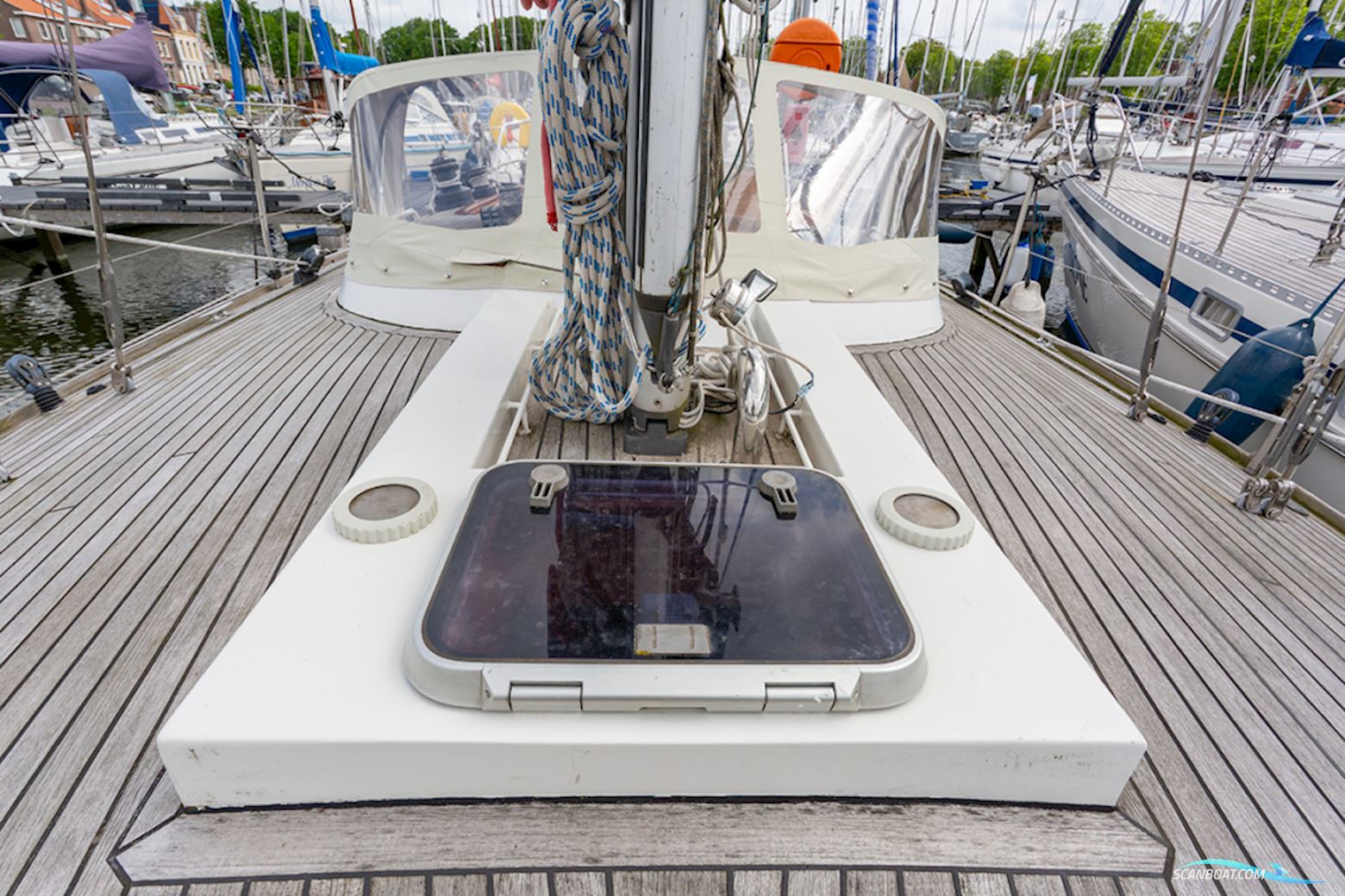 Van de Stadt 36 Zeehond