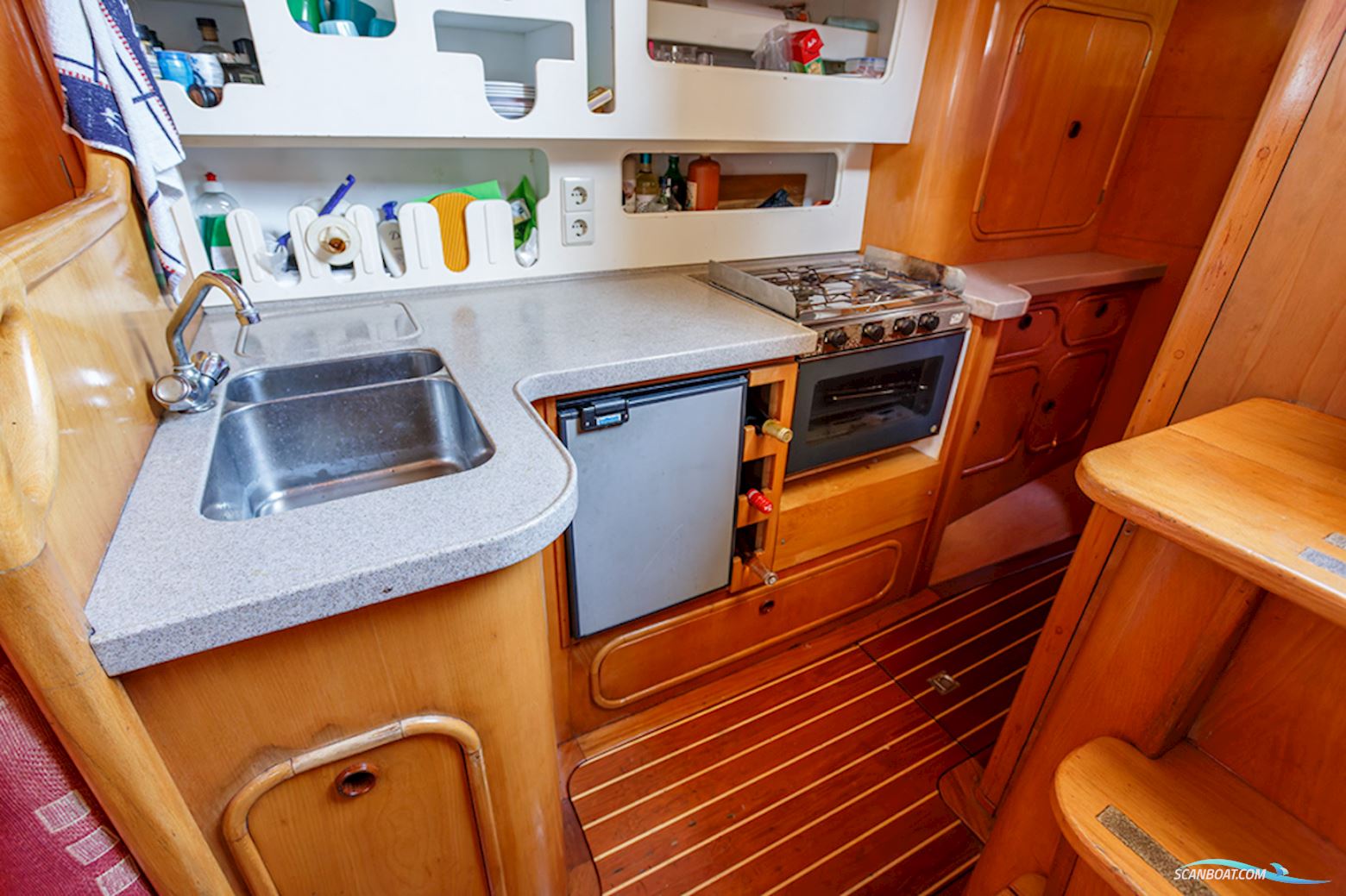Van de Stadt 36 Zeehond